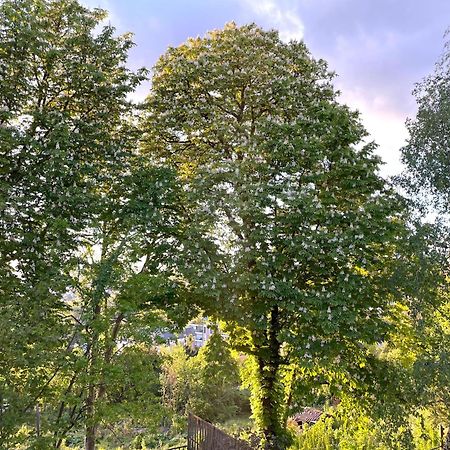 Sara Home Chennevières-sur-Marne Εξωτερικό φωτογραφία