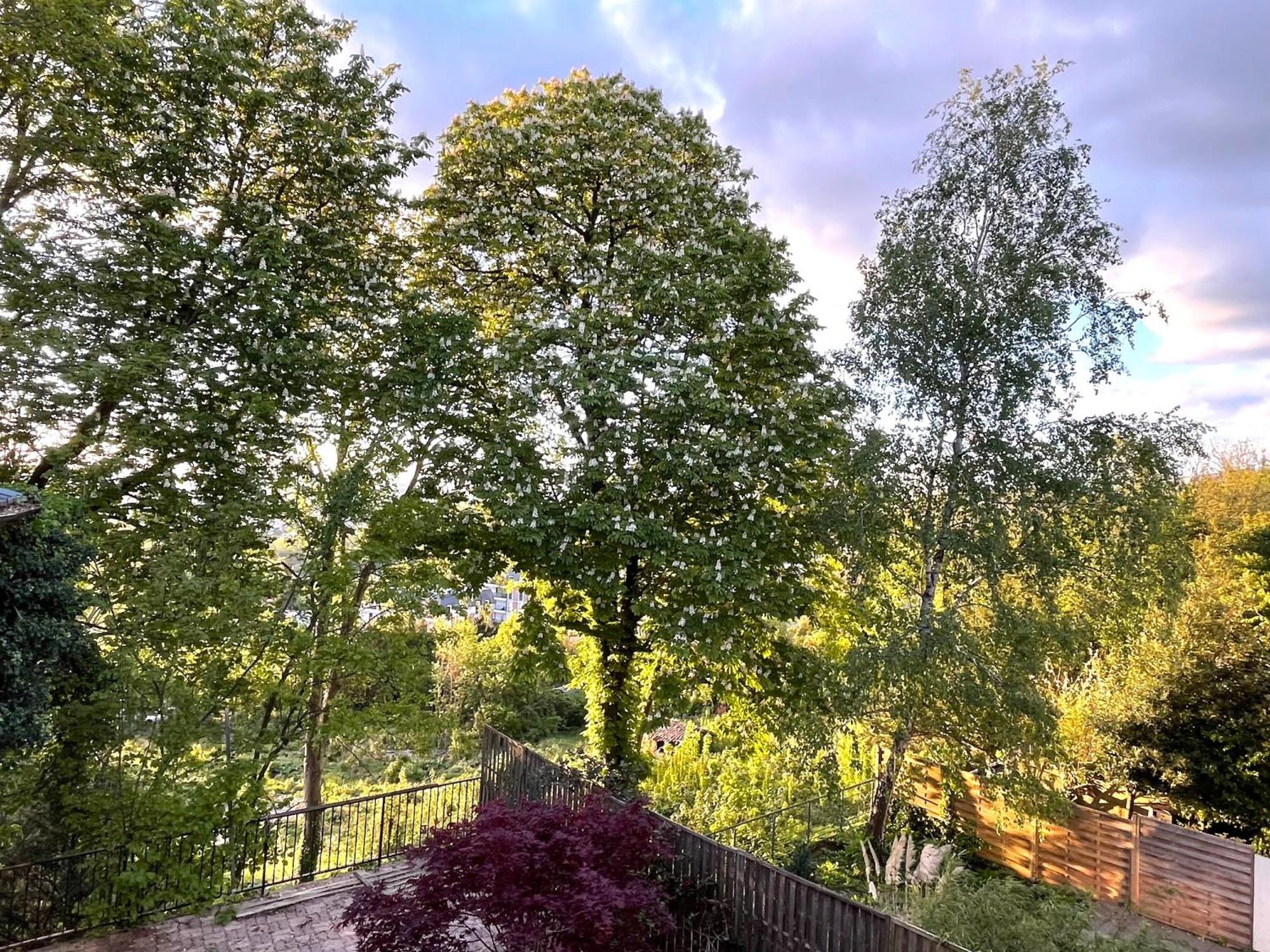 Sara Home Chennevières-sur-Marne Εξωτερικό φωτογραφία